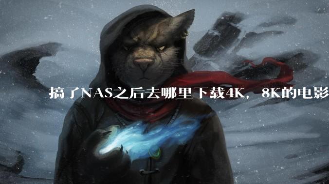 搞了NAS之后去哪里下载4K，8K的电影？