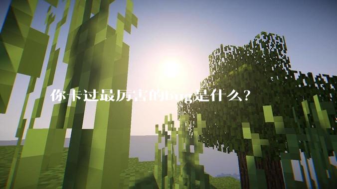 你卡过最厉害的bug是什么？