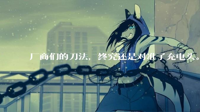 厂商们的刀法，终究还是对准了充电头。。。_电压_认证_米罗