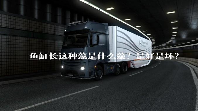 鱼缸长这种藻是什么藻？是好是坏？