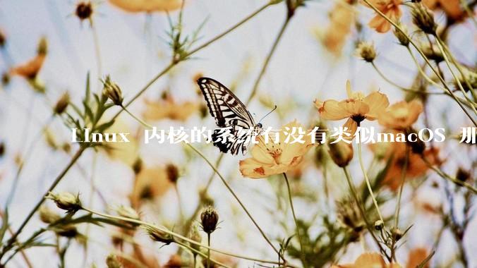 Linux 内核的系统有没有类似macOS 那样漂亮流畅的桌面环境的发行版本?