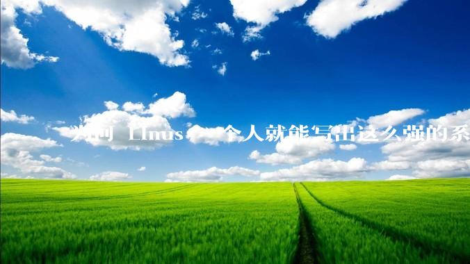 为何 Linus 一个人就能写出这么强的系统，中国却做不出来？
